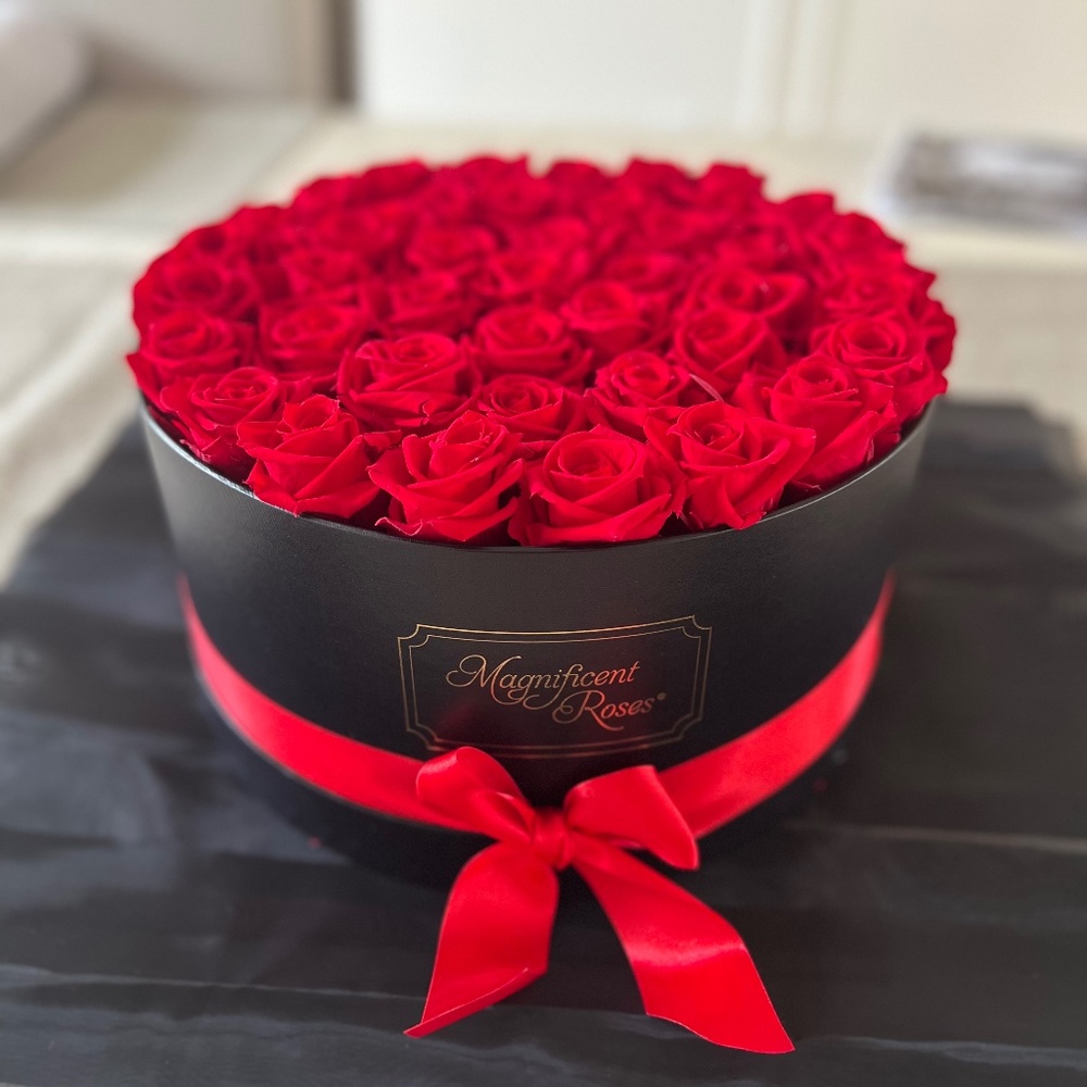 Meet your Posher, Marie